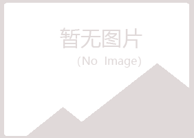 青岛崂山苍白会计有限公司